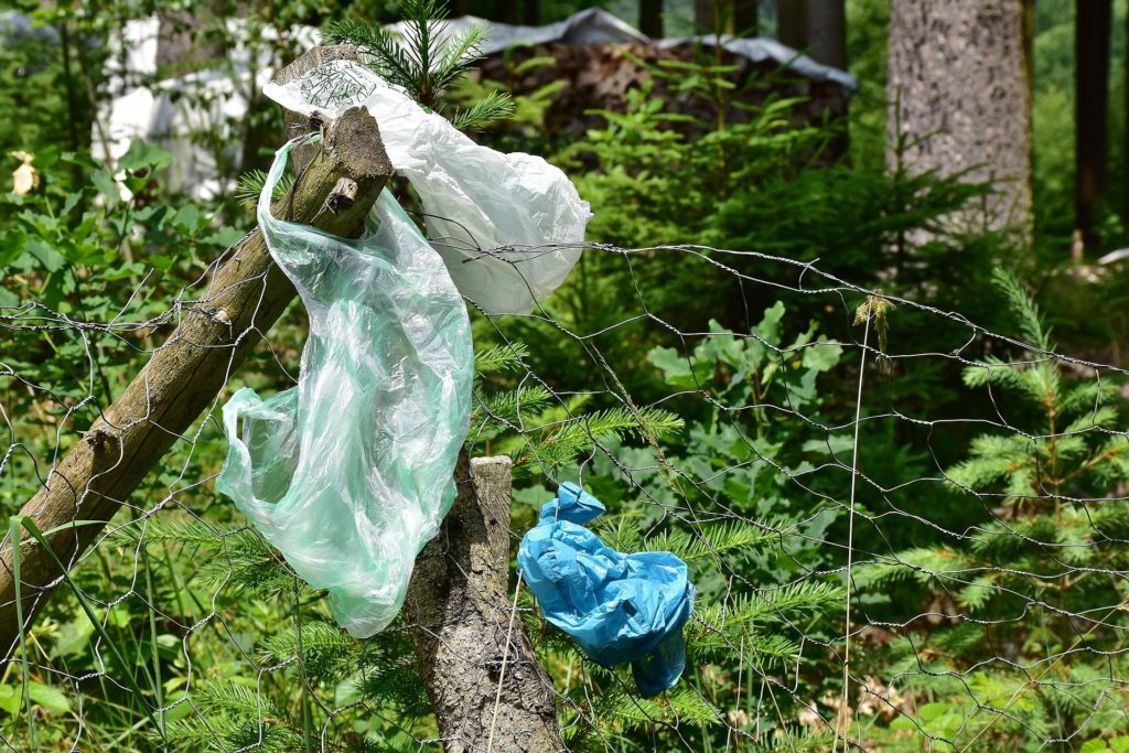 Plastsøppel i skogen